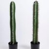 Artificial succulent 13*13*68CM Cactus in plastic pot GS-48520047