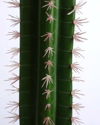 Artificial succulent 13*13*68CM Cactus in plastic pot GS-48520047 Succulent YeahFlower is one of Chinese leading OEM manufacturers and exporters , supplying the silk flowers, wholesale artificial trees Artificial succulent 13*13*68CM Cactus in plastic pot GS-48520047