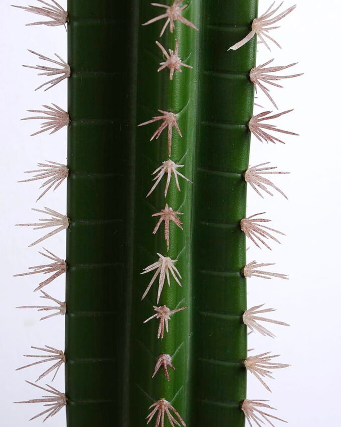 Artificial succulent 13*13*68CM Cactus in plastic pot GS-48520047