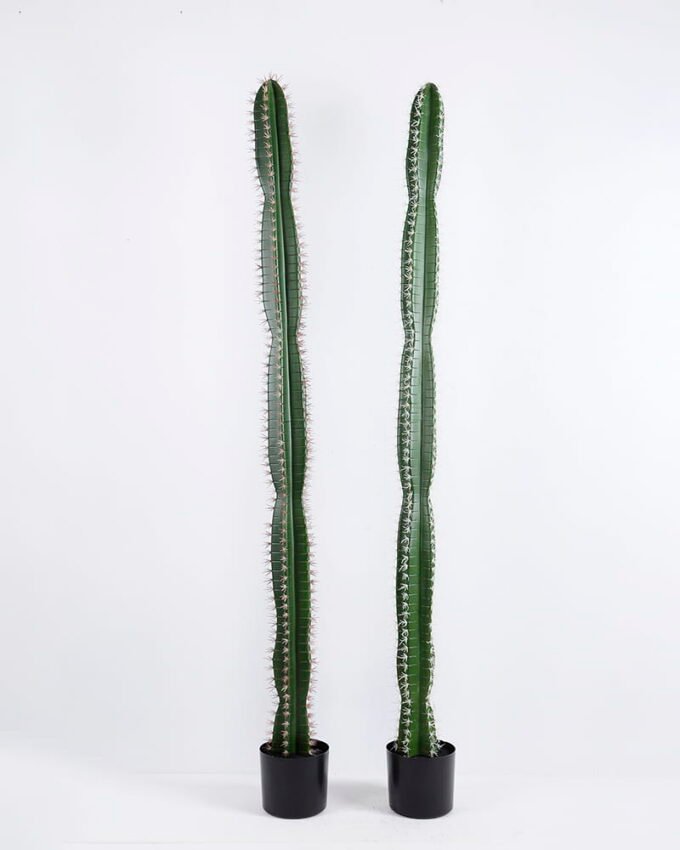 Artificial succulent 16*16*157CM Cactus in plastic pot GS-48520052