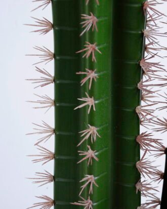 Artificial succulent 17*15*71CM Cactus in plastic pot GS-48520053 Succulent YeahFlower is one of Chinese leading OEM manufacturers and exporters , supplying the silk flowers, wholesale artificial trees Artificial succulent 17*15*71CM Cactus in plastic pot GS-48520053