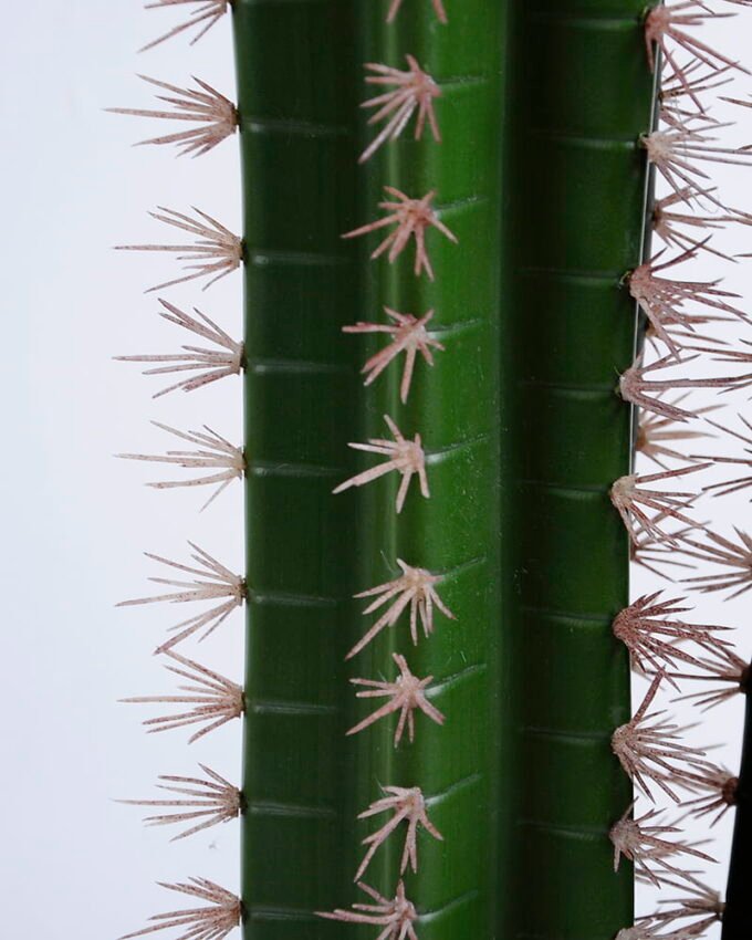 Artificial succulent Cactus in plastic pot GS-48520053_3 Artificial succulent 17*15*71CM Cactus in plastic pot GS-48520053