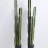 Artificial succulent Cactus in plastic pot GS-48520056 Artificial succulent 18*18*129CM Cactus in plastic pot GS-48520056