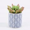 Artificial succulent 8.5*8.5*10cm Succulent plants in Ceramic pot GS-51720198
