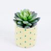 Artificial succulent 8*8*10cm Succulent plants in Ceramic pot GS-51720199