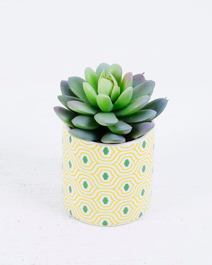 Artificial succulent 8*8*10cm Succulent plants in Ceramic pot GS-51720199