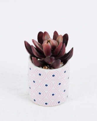 Artificial succulent 7*7*10cm Succulent plants in Ceramic pot GS-51720200 Succulent YeahFlower is one of Chinese leading OEM manufacturers and exporters , supplying the silk flowers, wholesale artificial trees Artificial succulent 7*7*10cm Succulent plants in Ceramic pot GS-51720200