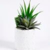 Artificial succulent 17*14*18CM Succulent plants in ceramic Pot GS-51720144