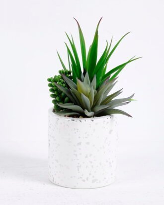 Artificial succulent 17*14*18CM Succulent plants in ceramic Pot GS-51720144