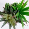 Artificial succulent 17*14*18CM Succulent plants in ceramic Pot GS-51720144