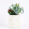 Artificial succulent 16*13*15CM Succulent plants in ceramic Pot GS-51720145