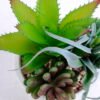 Artificial succulent 16*13*15CM Succulent plants in ceramic Pot GS-51720145