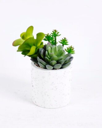 Artificial succulent 14*12*14CM Succulent plants in ceramic Pot GS-51720146 Succulent YeahFlower is one of Chinese leading OEM manufacturers and exporters , supplying the silk flowers, wholesale artificial trees Artificial succulent 14*12*14CM Succulent plants in ceramic Pot GS-51720146