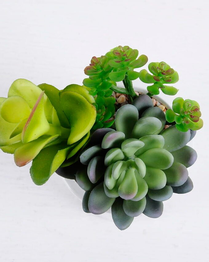 Artificial succulent 14*12*14CM Succulent plants in ceramic Pot GS-51720146