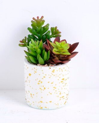 Artificial succulent 13*12*14CM Succulent plants in ceramic Pot GS-51720147