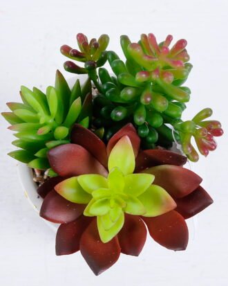Artificial succulent 13*12*14CM Succulent plants in ceramic Pot GS-51720147