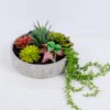 Artificial succulent 27*27*40cm Succulent plants in ceramic pot GS-51720170