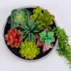 Artificial succulent 27*27*40cm Succulent plants in ceramic pot GS-51720170
