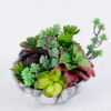 Artificial succulent 20*23*20cm Succulent plants in paper pot GS-51720169