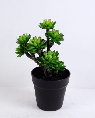 Artificial succulent 18*16*31CM Succulent plants in plastic pot GS-51720131