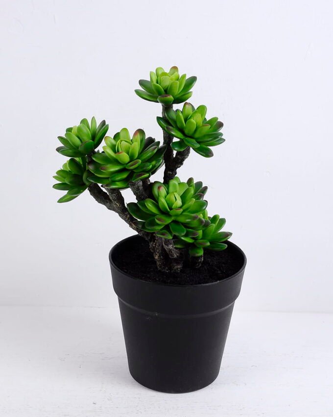 Artificial succulent 18*16*31CM Succulent plants in plastic pot GS-51720131