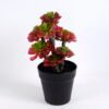 Artificial succulent 18*16*33CM Succulent plants in plastic pot GS-51720132 1 Artificial succulent 18*16*33CM Succulent plants in plastic pot GS-51720132