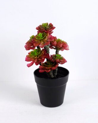 Artificial succulent 18*16*33CM Succulent plants in plastic pot GS-51720132