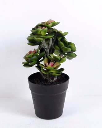 Artificial succulent 20*18*30CM Succulent plants in plastic pot GS-51720133