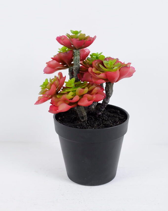 Artificial succulent 16*15*23CM Succulent plants in plastic pot GS-51720135