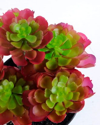 Artificial succulent 16*15*23CM Succulent plants in plastic pot GS-51720135
