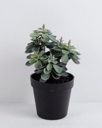 Artificial succulent 18*15*25CM Succulent plants in plastic pot GS-51720137