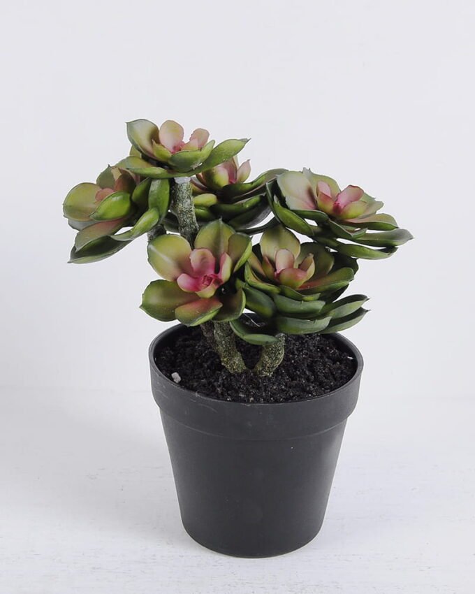 Artificial succulent 19*19*24CM 19*19*24CM Succulent plants in plastic pot GS-51720138
