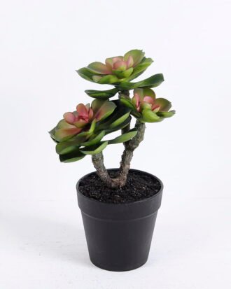Artificial succulent 17*14*22CM Succulent plants in plastic pot GS-51720141 Succulent YeahFlower is one of Chinese leading OEM manufacturers and exporters , supplying the silk flowers, wholesale artificial trees Artificial succulent 17*14*22CM Succulent plants in plastic pot GS-51720141