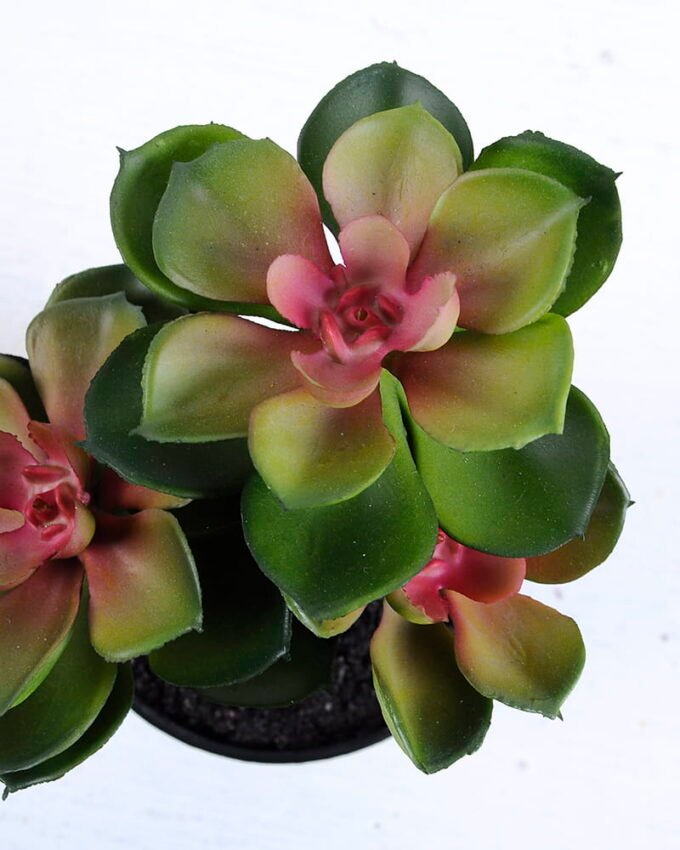 Artificial succulent 17*14*22CM Succulent plants in plastic pot GS-51720141