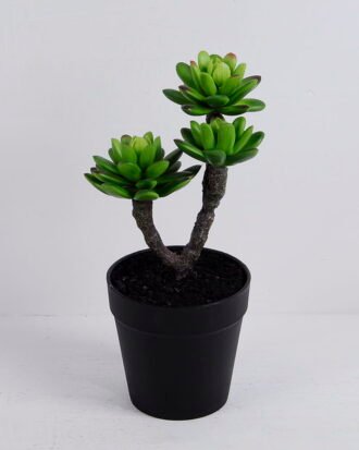 Artificial succulent 14*9*22CM Succulent plants in plastic pot GS-51720142