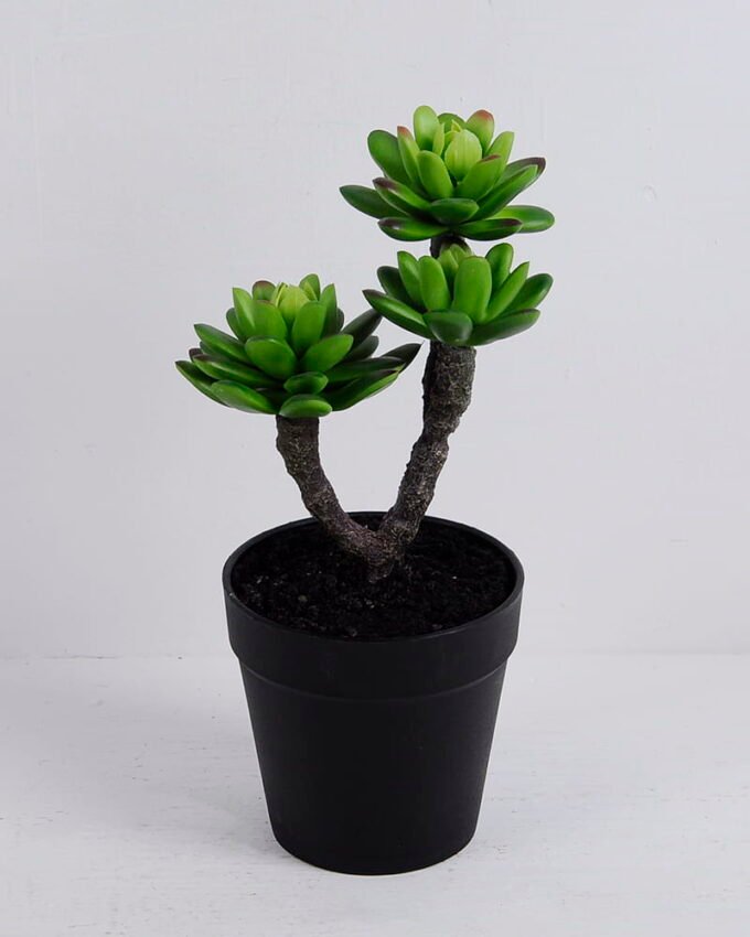 Artificial succulent 14*9*22CM Succulent plants in plastic pot GS-51720142