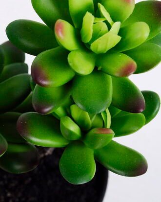 Artificial succulent 14*9*22CM Succulent plants in plastic pot GS-51720142