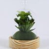 Artificial succulent 10*10*17cm succulent plants in glass pot GS-51720171