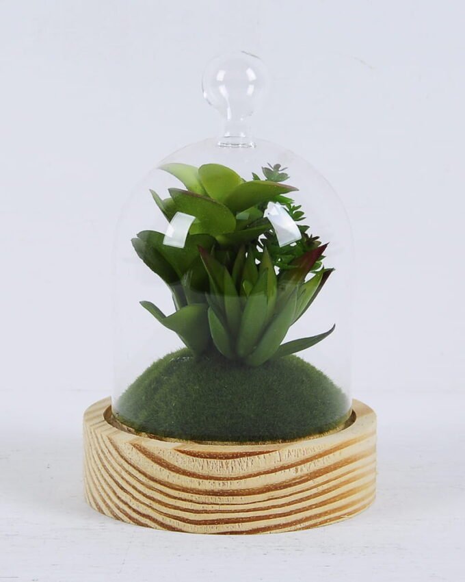Artificial succulent 10*10*17cm succulent plants in glass pot GS-51720171