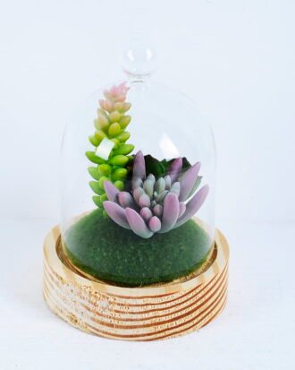 Artificial succulent 10*10*17cm succulent plants in glass pot GS-51720172 Succulent YeahFlower is one of Chinese leading OEM manufacturers and exporters , supplying the silk flowers, wholesale artificial trees Artificial succulent 10*10*17cm succulent plants in glass pot GS-51720172