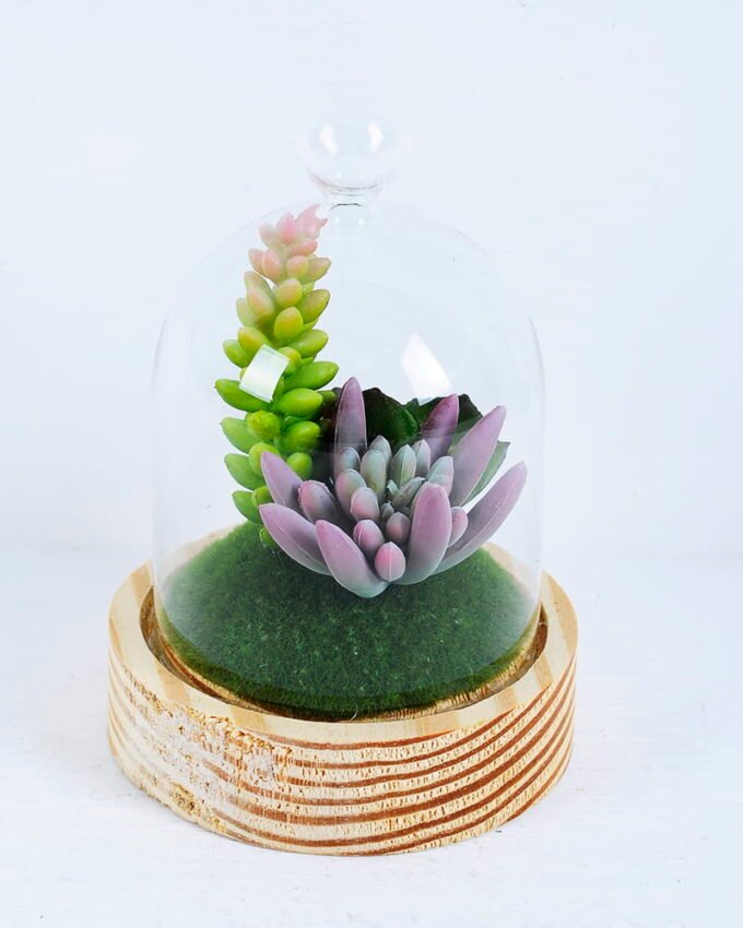 Artificial succulent succulent plants in glass pot GS-51720172_1 Artificial succulent 10*10*17cm succulent plants in glass pot GS-51720172
