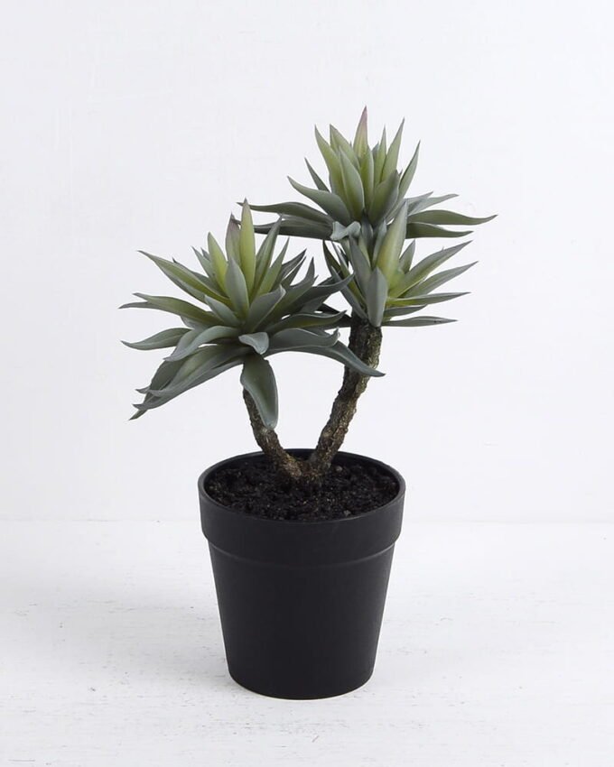 Artificial succulent succulent plants in plastic pot GS-51720123