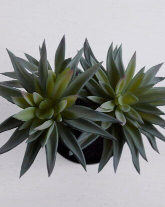 Artificial succulent succulent plants in plastic pot GS-51720123