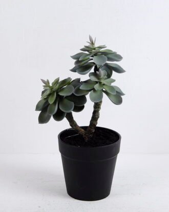 Artificial succulent succulent plants in plastic pot GS-51720124