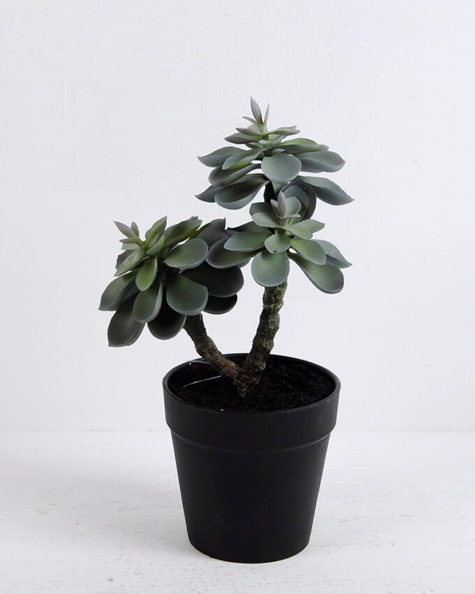 Artificial succulent succulent plants in plastic pot GS-51720124