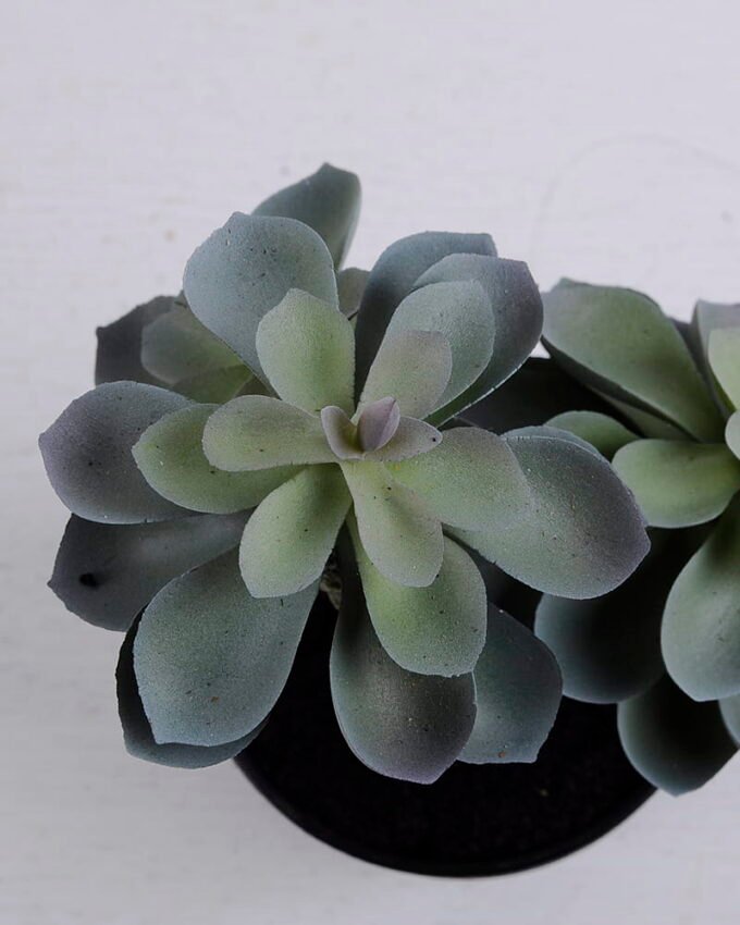 Artificial succulent succulent plants in plastic pot GS-51720124