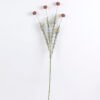 Artificial Flower 12 85CM Mum ball spray 4 GS-26220061_7 Artificial Flower 12*85CM Mum ball spray*4 GS-26220061