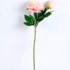 Artificial Flower 15*58CM Peony Spray*2 GS-26220036-P3