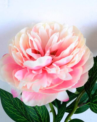 Artificial Flower 15*58CM Peony Spray*2 GS-26220036-P3