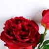 Artificial Flower 15 58CM Peony Spray 2 GS-26220036-R2_6 Artificial Flower 15*58CM Peony Spray*2 GS-26220036-R2